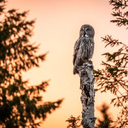20260513-GO5A7201-8.jpg