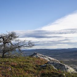Karhutunturi.jpg